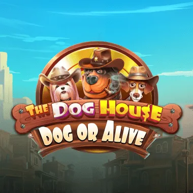 The Dog House - Dog or Alive